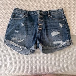 KanCan Shorts NWT